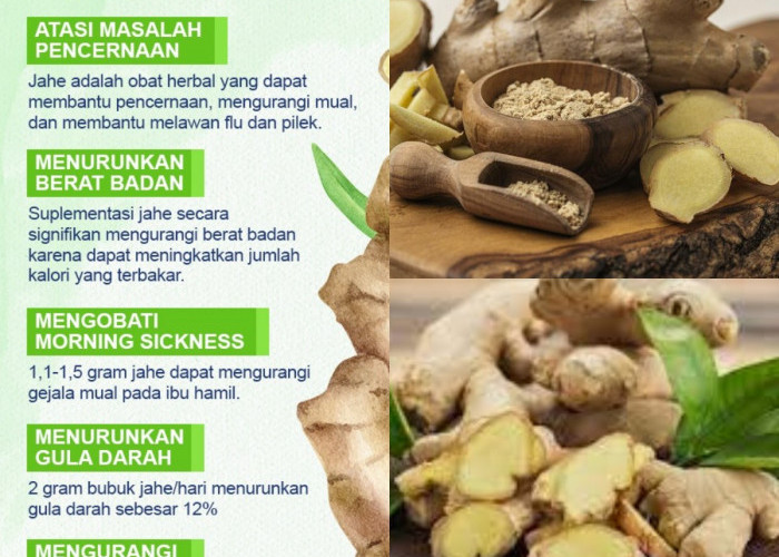 Jahe Sebagai Obat Alami? Ini Dia 5 Rahasia Kesehatan yang Bisa Kamu Dapatkan!