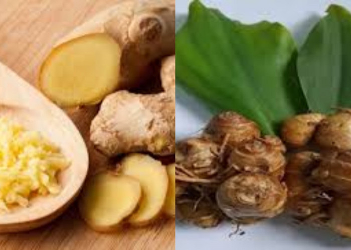 8 Manfaat Kencur untuk Kesehatan: Nutrisi dan Tips Konsumsi
