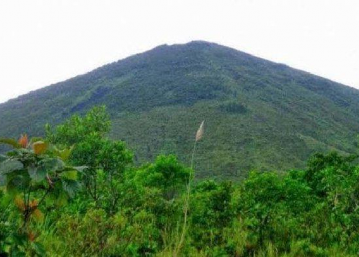 Misteri dan Legenda Gunung Panjang Kalimantan: Antara Sejarah dan Kepercayaan