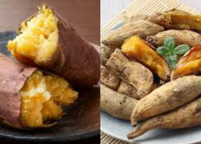 Inilah Nutrisi dan Manfaat Ubi Madu Untuk Kesehatan Yang Jarang Diketahui!