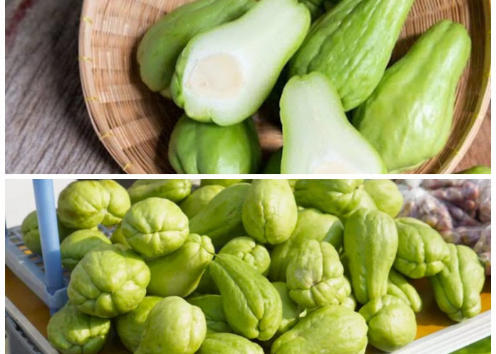 Labu Siam untuk Tubuh Sehat: Nutrisi, Manfaat, dan Tips Olahannya*