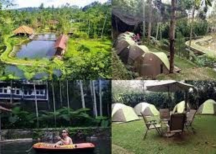 Review Lengkap Wanakula Camp, Spot Wisata Dengan Pemandangan Alam Yang Indah!