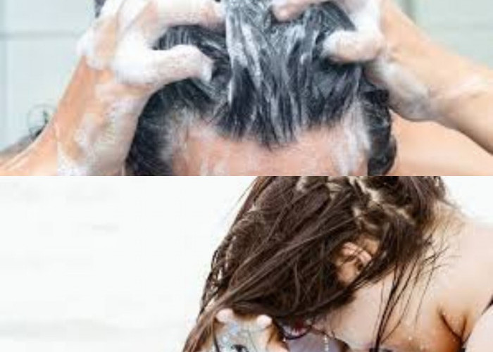 Apakah Mencuci Rambut Setiap Hari Dapat Menghancurkan Kualitas Rambut? Simak Faktanya Sebelum Menyesal