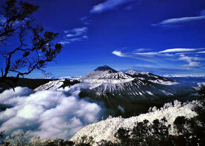 Menyusuri Gunung Jayawijaya yang Memiliki Pemandangan Sangat Indah dan Penuh Misteri!