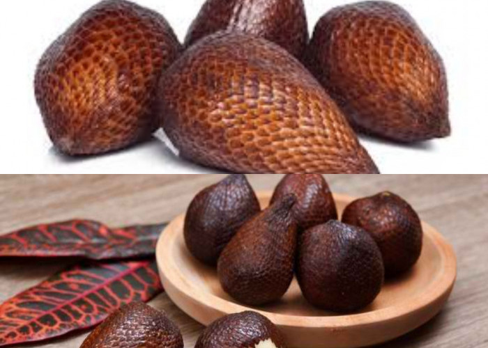 Manfaat Buah Salak Bagi Kesehatan Tubuh!