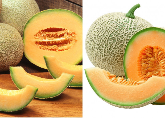 Yuk Ketahui! Beragam Manfaat Buah Melon Untuk Kesehatan Tubuh Anda
