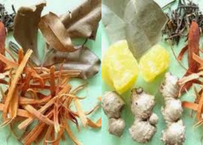 Ingin Sehat Secara Alami? Coba Obat Tradisional Suku Abung, Yuk!