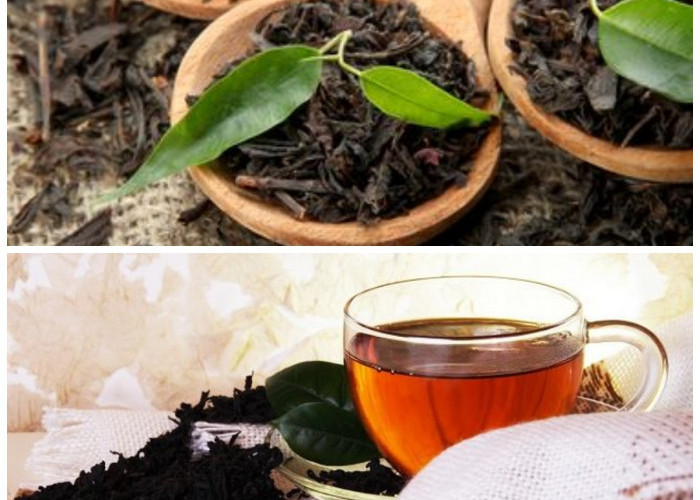Rahasia Sehat Teh Hitam: Ini Dia 10 Manfaatnya bagi Tubuh