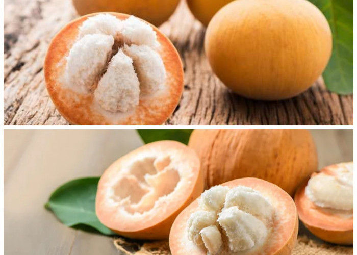 Manfaat Buah Kecapi bagi Kesehatan Tubuh: Kaya Antioksidan dan Baik untuk Jantung!