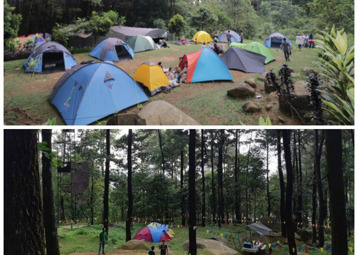 Camping Ground Gunung Pancar, Petualangan Asyik Cuma 1 Jam dari Pusat Kata Jakarta