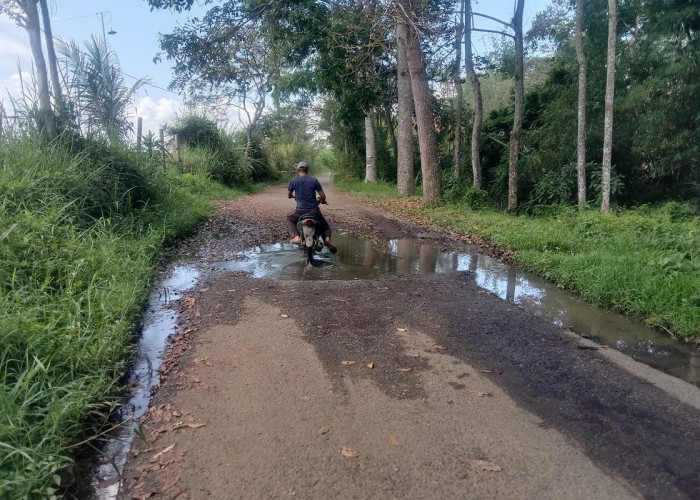 Warga Desak Perbaikan Kerusakan Jalan di Pagar Alam