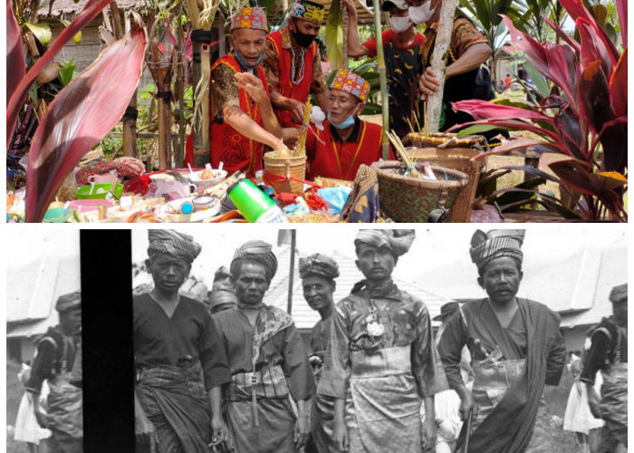 Menelusuri Keunikan Suku Napu: Warisan Budaya dari Lembah Sulawesi yang Abadi