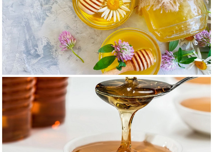 Mengenal Madu Clover: Manfaat Sehat Alami yang Jarang Diketahui