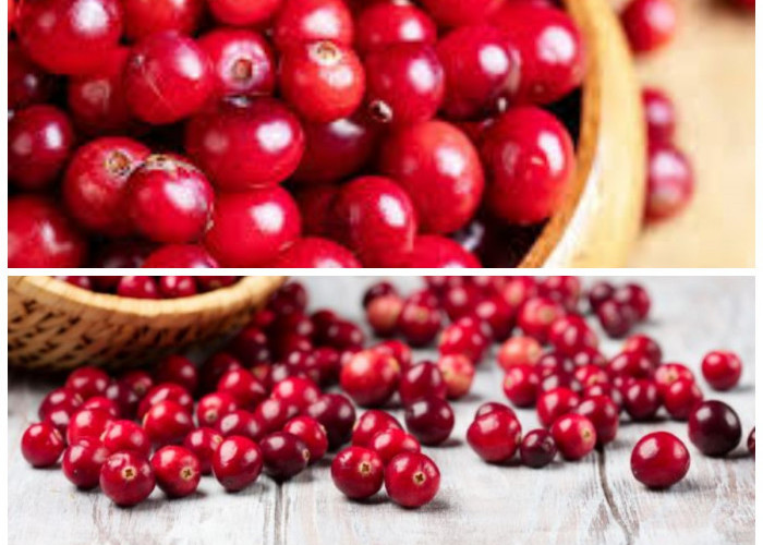 Keajaiban Cranberry: Buah Kecil yang Penuh Manfaat untuk Kesehatan Anda