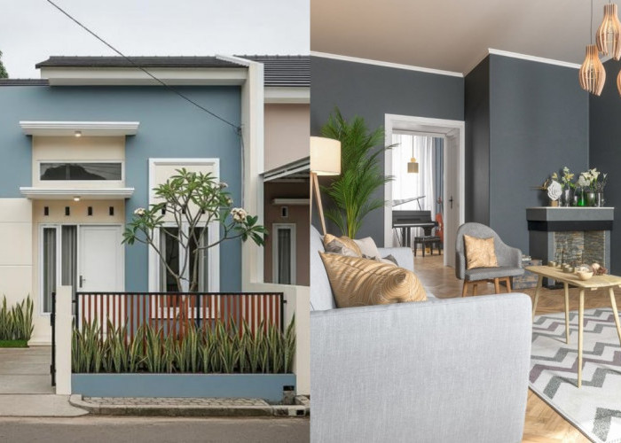 Rekomendasi Warna Cat Rumah yang Bikin Tampilan Lebih Mewah Tanpa Renovasi Besar!