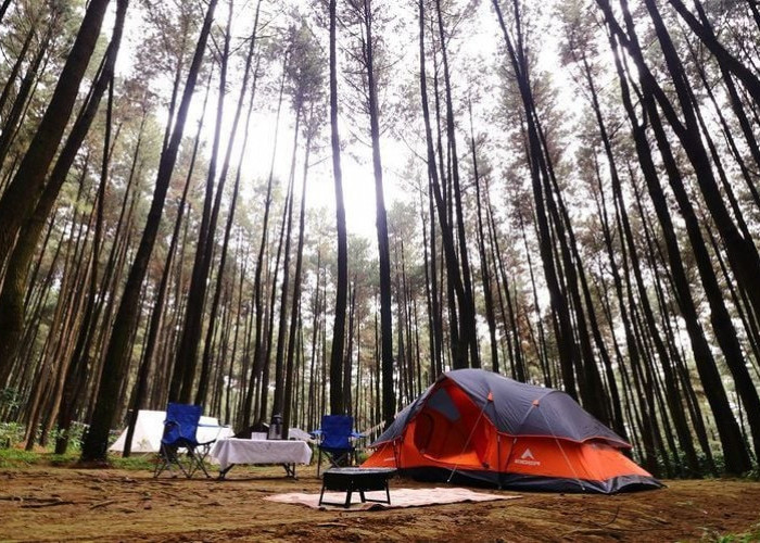 Wisata Alam, Inilah 5 Lokasi Camping yang Populer di Bogor 