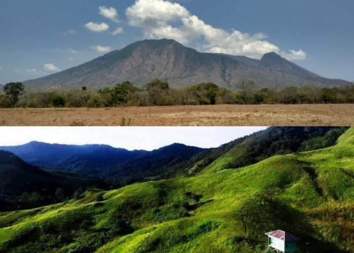Ekspedisi Gunung Harun: Petualangan dan Keanekaragaman Hayati di Kayan Mentarang