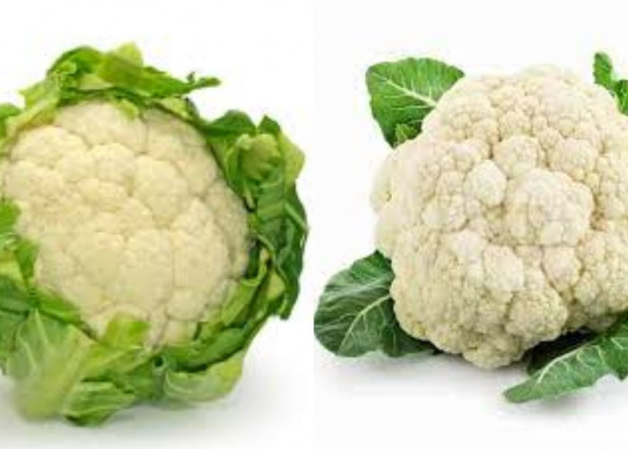 Yuk Simak! 10 Manfaat Kembang Kol Untuk Kesehatan Tubuh Yang Harus Kamu Tahu 
