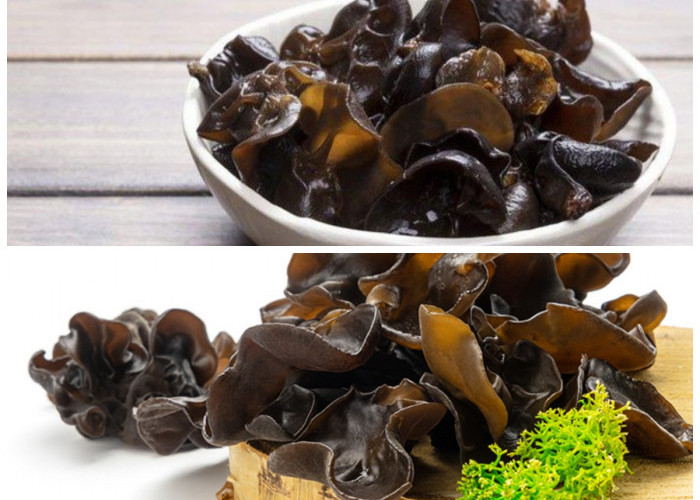 Manfaat Tersembunyi Jamur Kuping untuk Kesehatan yang Jarang Diketahui