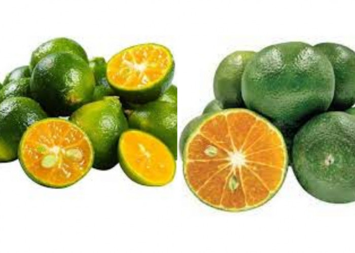 Yuk Ketahui! Manfaat Dari Jeruk Kasturi Untuk Kesehatan Yang Luar Biasa
