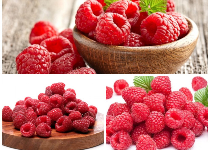 Segudang Manfaat Buah Raspberry: 8 Khasiat Penting untuk Kesehatan Tubuh!