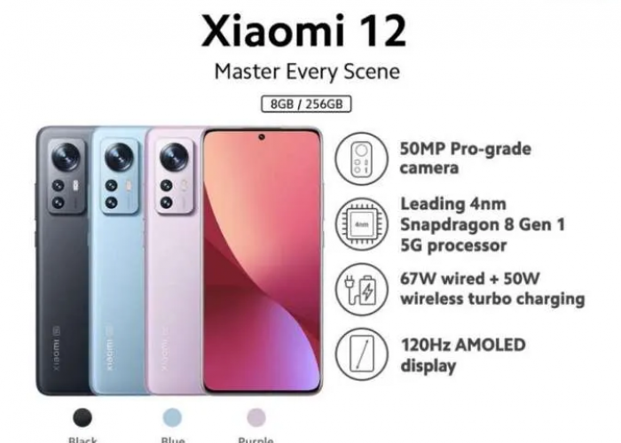 Xiaomi 12, Dilengkapi Dengan Kamera Baru & Harga Terjangkau di Tahun 2024