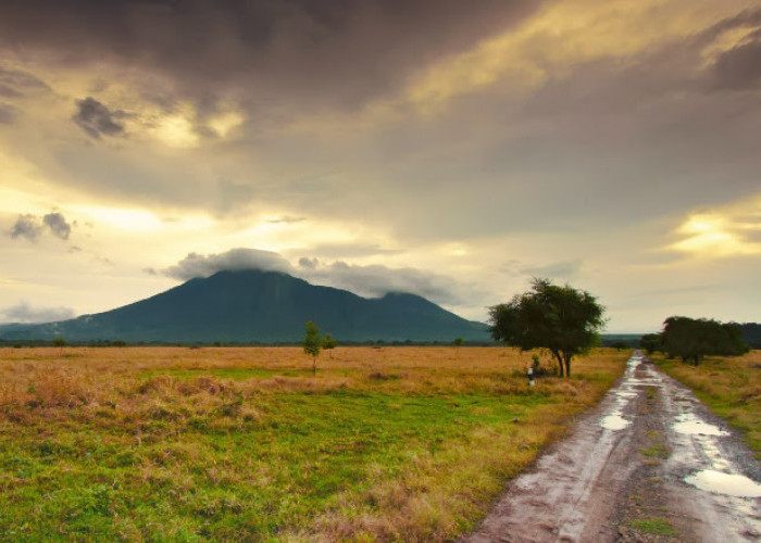 Mari Berlibur! Inilah 4 Objek Wisata Taman Nasional di Jawa Timur yang Wajib Banget Kamu Kunjungi 