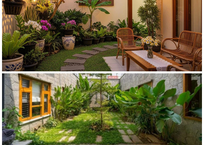 7 Desain Halaman Belakang Rumah Simpel tapi Asri untuk Hunian Nyaman