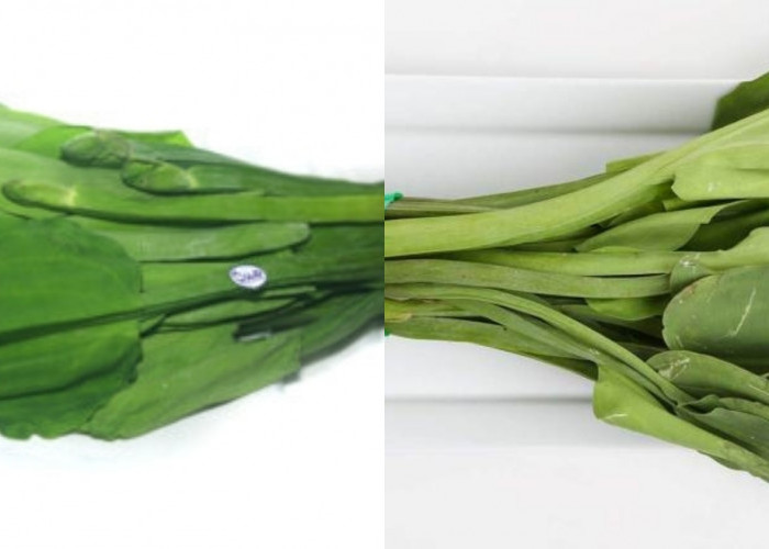 Mencegah Anemia Teryata Inilah Manfaat Dari Daun Genjer Yang Harus Kalian Ketahui! 