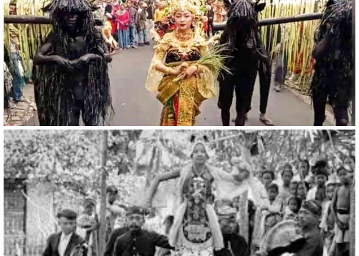 Suku Osing, Warisan Leluhur Banyuwangi yang Masih Lestari hingga Kini