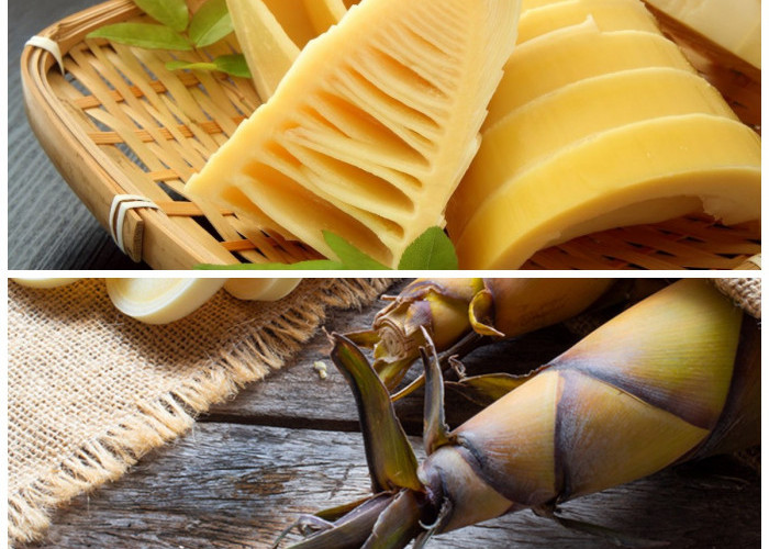 Khasiat Rebung untuk Kesehatan dan Kandungan Gizinya yang Melimpah