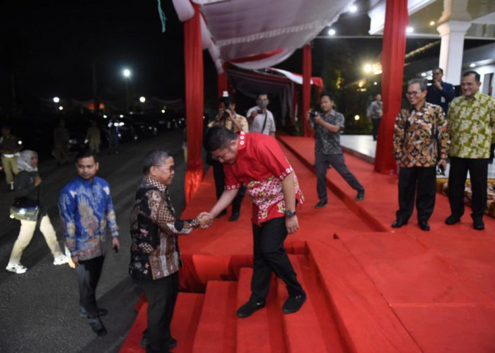 Sengaja Ke Palembang, Wamen LHK Bahas Antisipasi Elnino dan Karhutla
