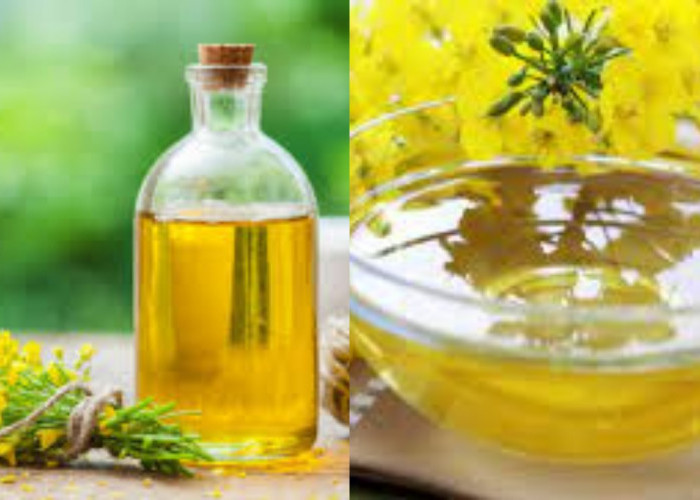 Yuk Kenali Beragam Manfaat Minyak Kalona Untuk Kesehatan Tubuh!