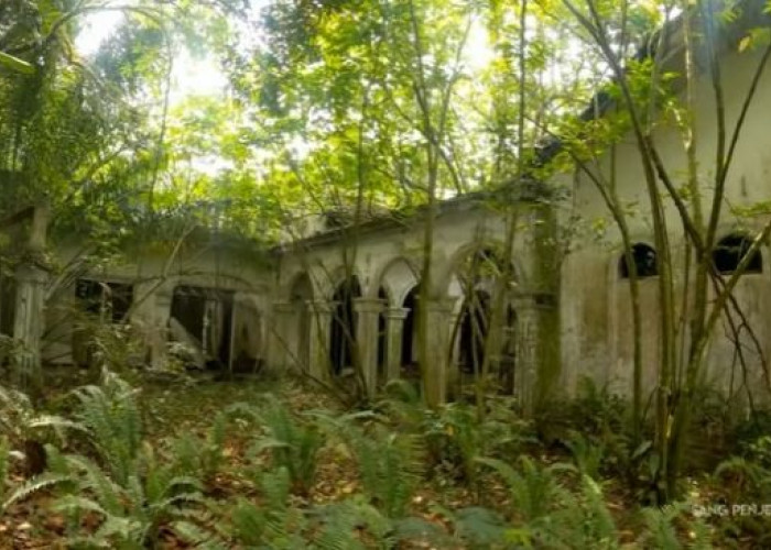 Penemuan Istana Misterius, Jejak Kejayaan di Balik Hutan Jawa Timur!