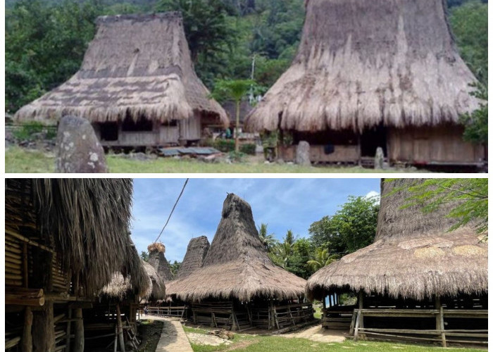 Mengenal Rumah Adat Musalaki, Warisan Budaya Suku Ende-Lio yang Sarat Makna Kepemimpinan