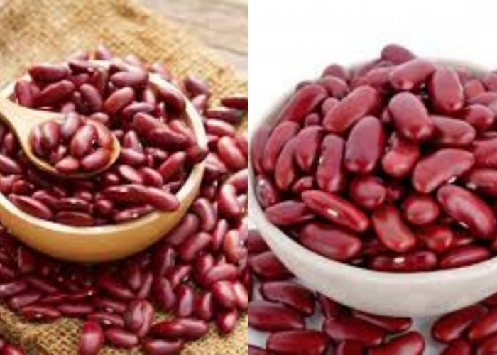 Yuk Intip! 6 Manfaat Kacang Merah Bagi Kesehatan Tubuh Yang Luar Biasa