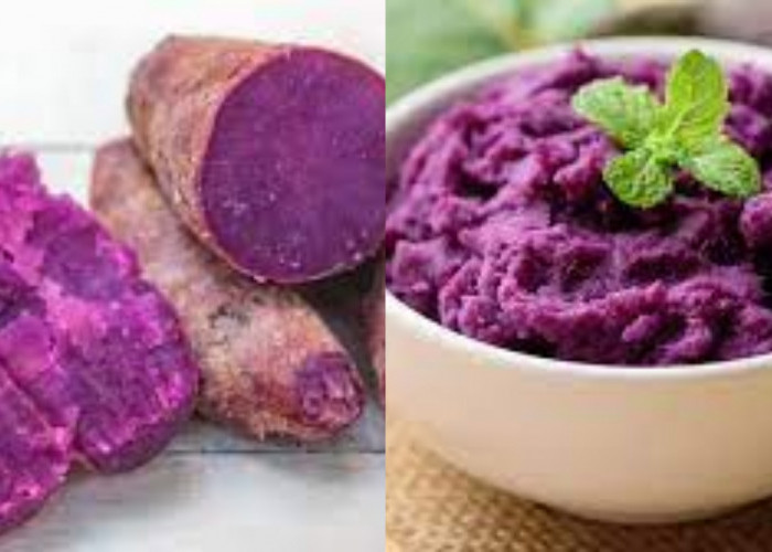 Ubi Ungu: Si Ungu Yang Kaya Manfaat Untuk Kesehatan Ini Pejelasanya