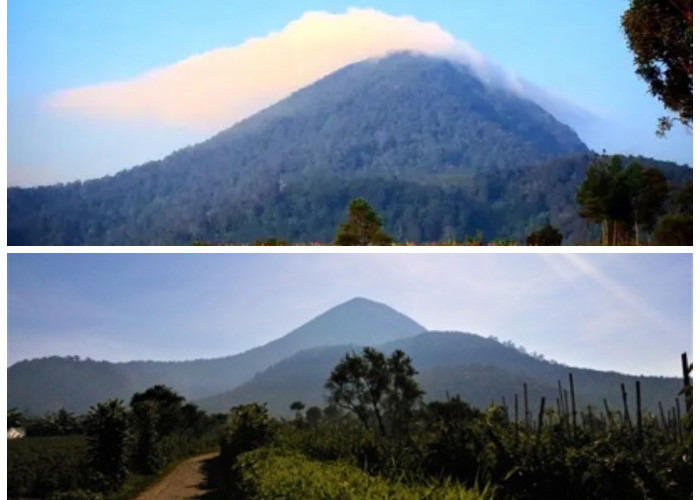 Gunung Bukit Tunggul: Sisa Letusan Purba yang Penuh Cerita Mistis di Balik Keheningannya
