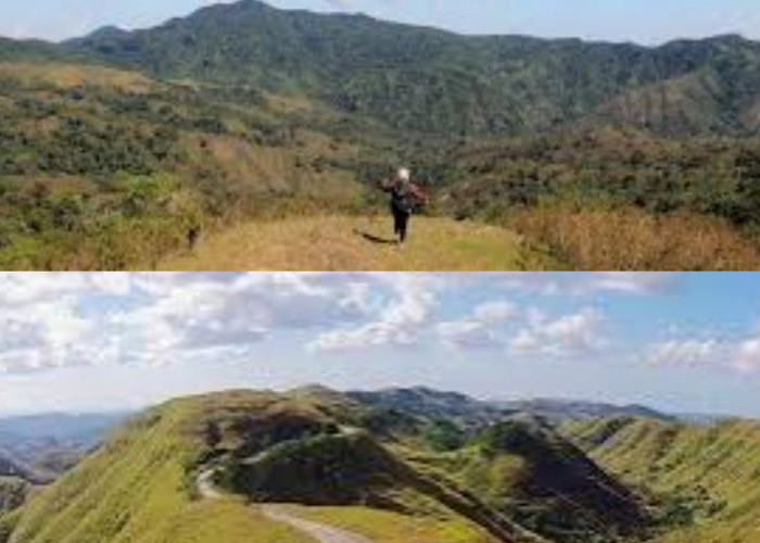 Yuk, Kita Lihat Pesona Gunung Wanggameti, Puncak Tertinggi Sumba!