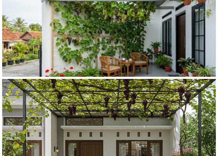 Bikin Rumah Lebih Hidup! Ide Teras Cantik dengan Tanaman Buah Merambat di Dinding