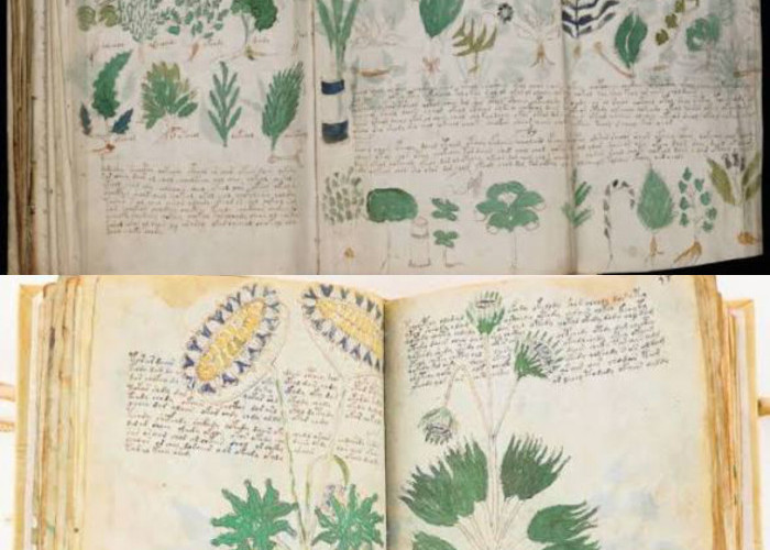 Manuskrip Voynich: Misteri Berabad-abad Kini Terkuak, Diduga Menggunakan Sistem Sandi Tersembunyi