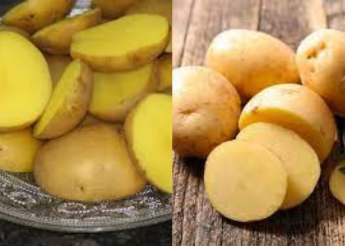 Yuk Ketahui Inilah Kandungan Nutrisi Kentang Dan Manfaatnya Yang Luar Biasa!