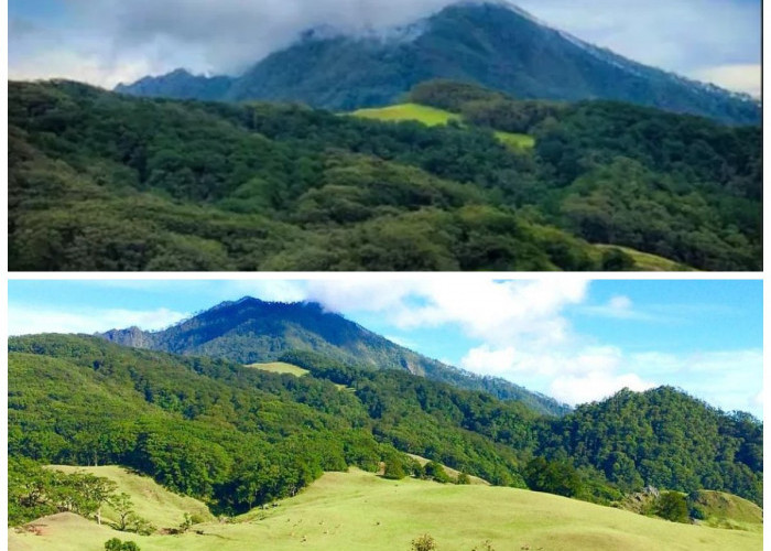 Gunung Mutis: Keindahan Alam yang Memikat dan Pemandangan Spektakuler!