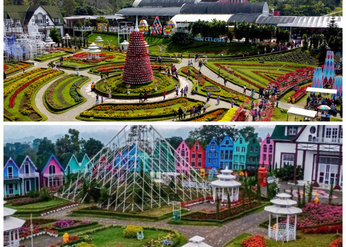 Taman Bunga Celosia, Destinasi Romantis Murah di Semarang yang Menakjubkan!