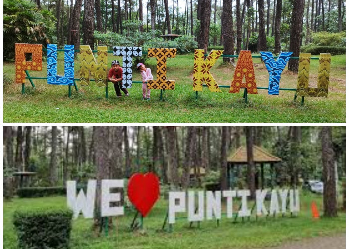 5 Daya Tarik Wisata Alam Punti Kayu Palembang yang Wajib Kamu Kunjungi Saat Liburan 