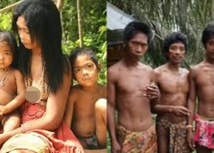 Tradisi Perkawinan Sedarah Suku Polahi, Keunikan Budaya dan Aspek Genetiknya