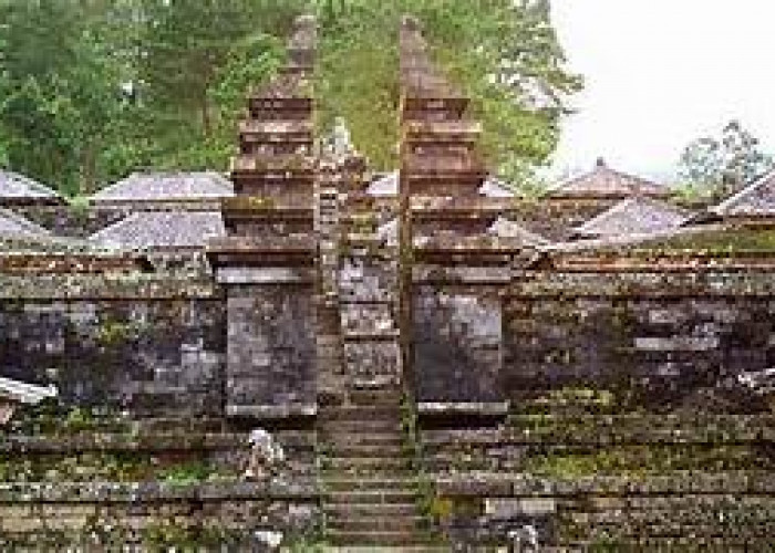 Kisah Luar Biasa, Pencari Rumput Ini Berhasil Temukan Istana Kuno Dalam Hutan Jati Lamongan, Ini Dia Kisahnya!