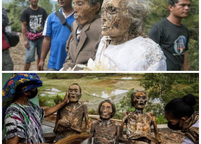 Ritual Ma’nene dan Tiwah: Tradisi Unik Penghormatan Leluhur di Indonesia