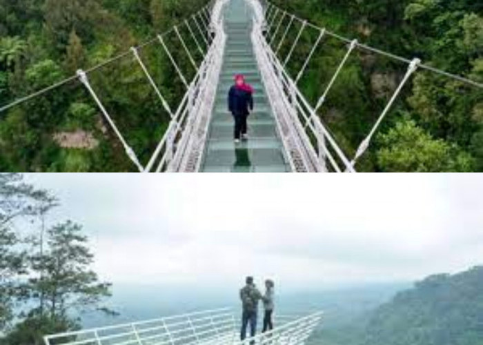 Menikmati Panorama Alam yang Indah di 8 Destinasi Wisata Jembatan Kaca di Indonesia 