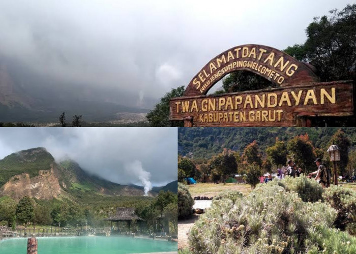 Spot Wisata Populer dan Tips Berwisata ke Gunung Papandayan